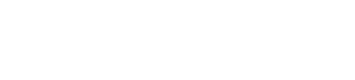 Watchdata logo